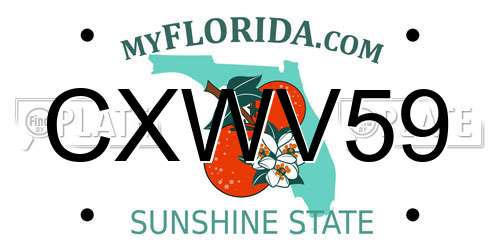 CXWV59 Florida License Plate
