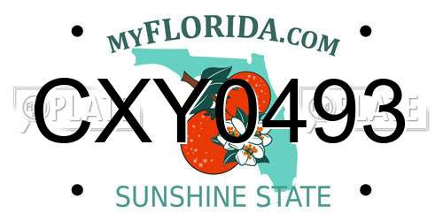 CXY0493 Florida License Plate