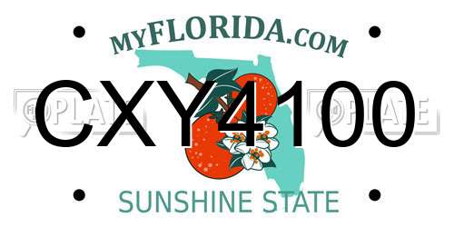 CXY4100 Florida License Plate