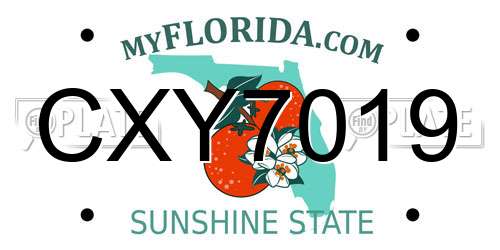 CXY7019 Florida License Plate