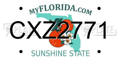 CXZ2771 Florida License Plate