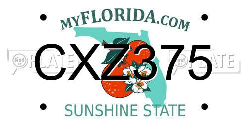 CXZ375 Florida License Plate