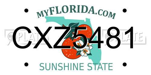 CXZ5481 Florida License Plate