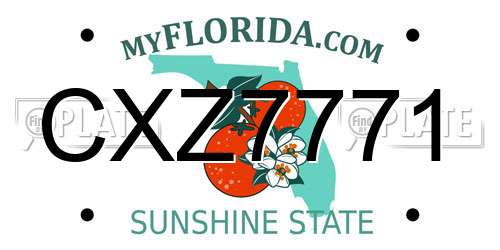 CXZ7771 Florida License Plate