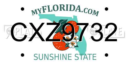 CXZ9732 Florida License Plate