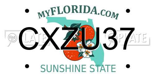 CXZU37 Florida License Plate