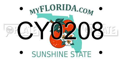 CY0208 Florida License Plate