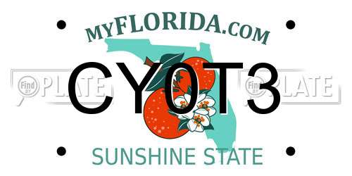 CY0T3 Florida License Plate