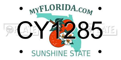 CY1285 Florida License Plate