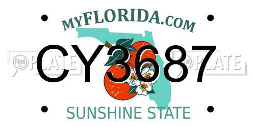 CY3687 Florida License Plate