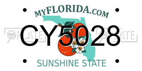 CY5028 Florida License Plate