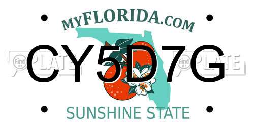CY5D7G Florida License Plate