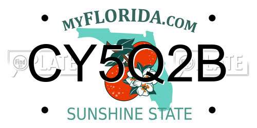 CY5Q2B Florida License Plate