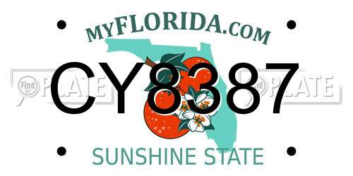 CY8387 Florida License Plate