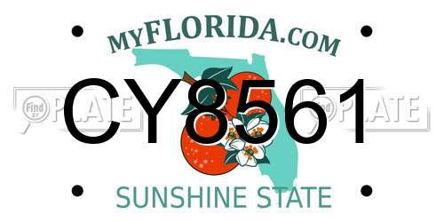 CY8561 Florida License Plate