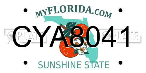 CYA8041 Florida License Plate