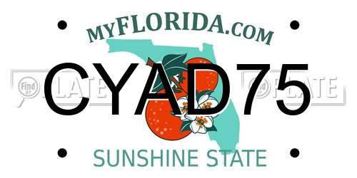 CYAD75 Florida License Plate