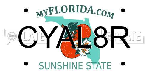 CYAL8R Florida License Plate