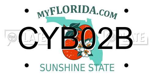 CYB02B Florida License Plate