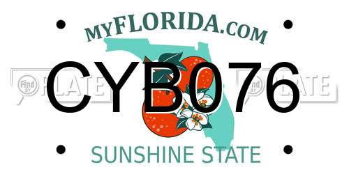 CYB076 Florida License Plate