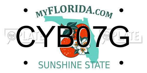 CYB07G Florida License Plate