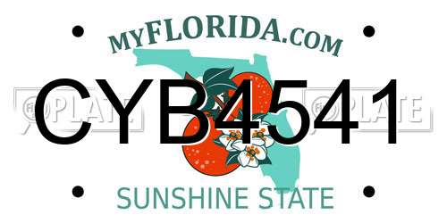 CYB4541 Florida License Plate