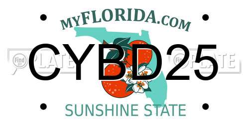 CYBD25 Florida License Plate