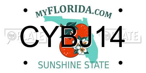 CYBJ14 Florida License Plate