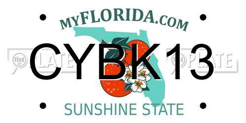 CYBK13 Florida License Plate