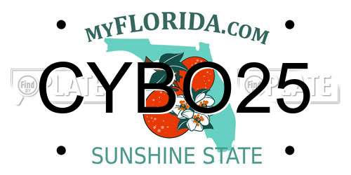 CYBO25 Florida License Plate