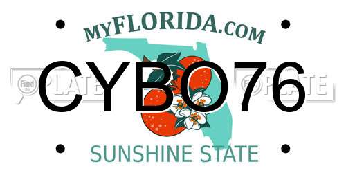 CYBO76 Florida License Plate