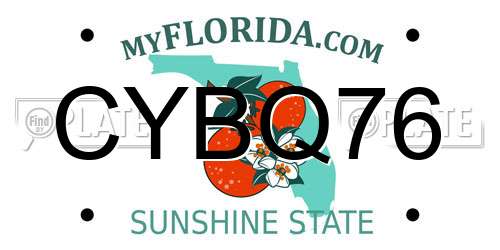 CYBQ76 Florida License Plate