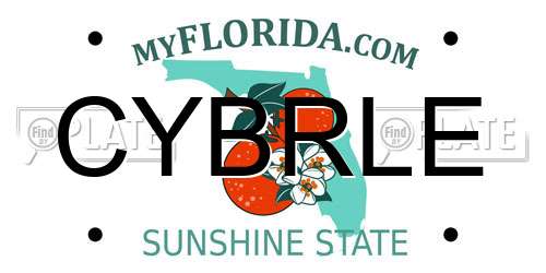CYBRLE Florida License Plate