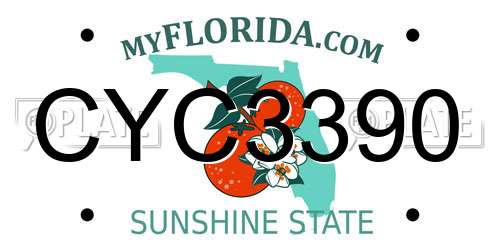 CYC3390 Florida License Plate