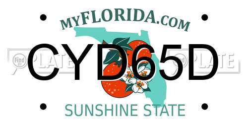 CYD65D Florida License Plate