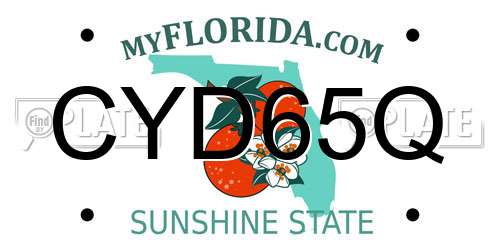 CYD65Q Florida License Plate