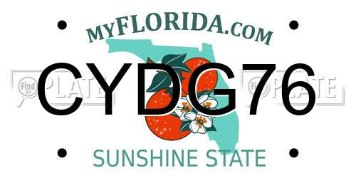 CYDG76 Florida License Plate
