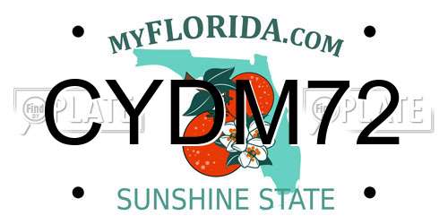 CYDM72 Florida License Plate