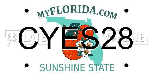 CYES28 Florida License Plate