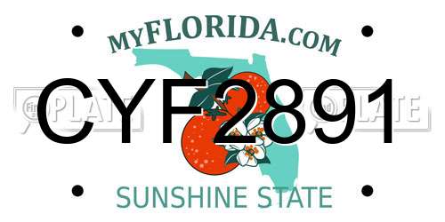 CYF2891 Florida License Plate