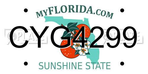 CYG4299 Florida License Plate