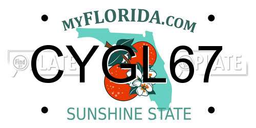 CYGL67 Florida License Plate