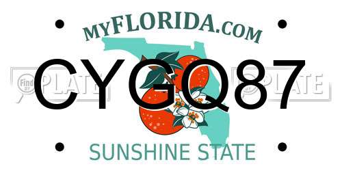 CYGQ87 Florida License Plate