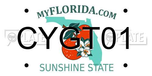 CYGT01 Florida License Plate