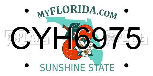 CYH6975 Florida License Plate