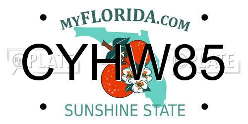 CYHW85 Florida License Plate