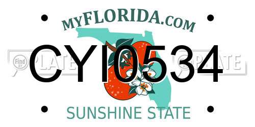 CYI0534 Florida License Plate
