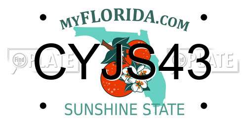 CYJS43 Florida License Plate
