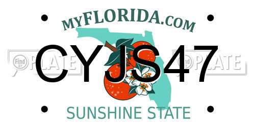 CYJS47 Florida License Plate