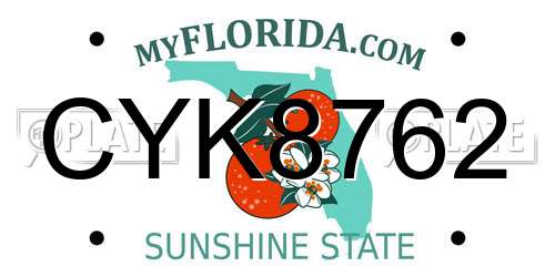 CYK8762 Florida License Plate